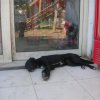 PICT0021